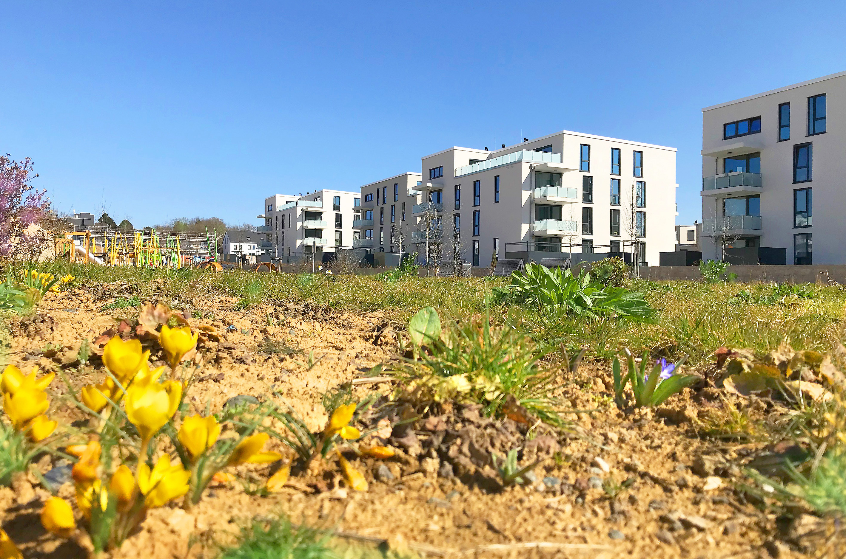 The BUWOG REBOOT quarter at the municipal Hainpark in Wiesbaden was completed in 2022. The BUWOG REBOOT can be seen in the background. Photo: BUWOG