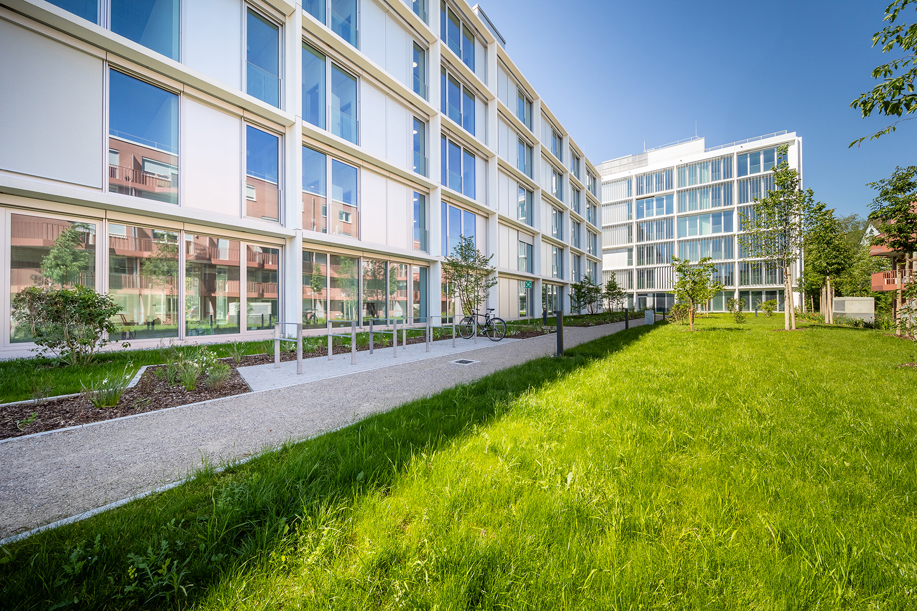 Fassadenansicht des Neubauprojekts Hofmark am Olympiapark in München mit Blick auf eine Wiese