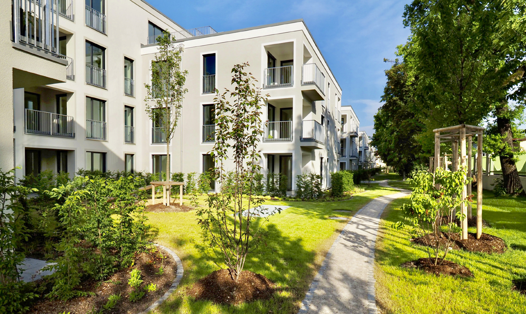 Zu sehen ist die Außenanlage des Projekts mit neu-gepflanzten Bäumen und Wiese