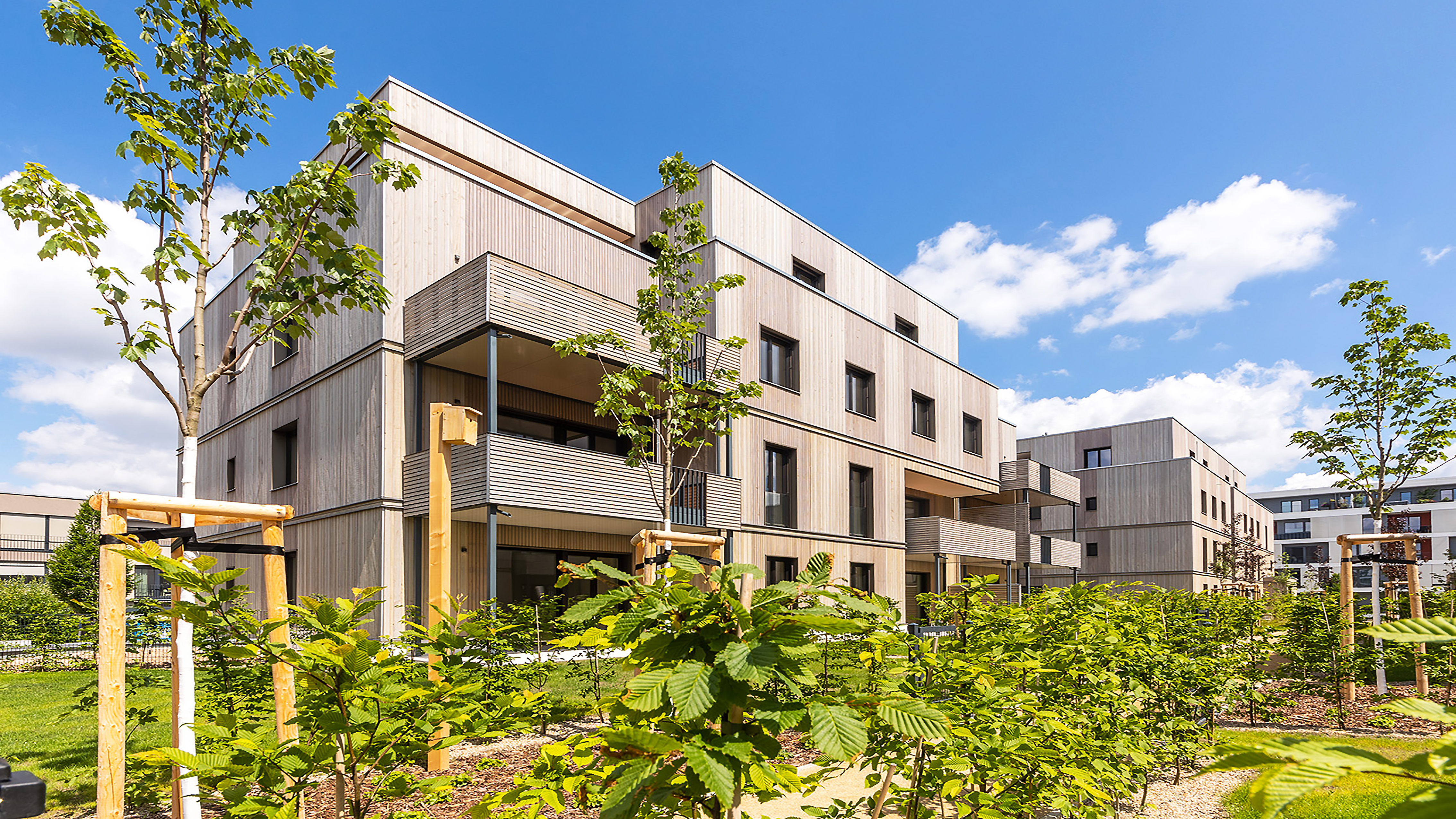 Holzbauprojekt BUWOG Lotsenhäuser im Berliner Quartier 52 Grad Nord mit Blick auf zwei Häuser des Quartiers