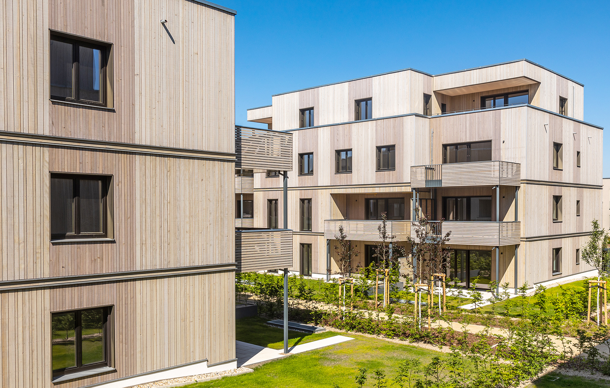 Sustainable building with wood: Lotsenhäuser with their wooden façade from the 52° North quarter.